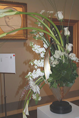 Florescence 2009